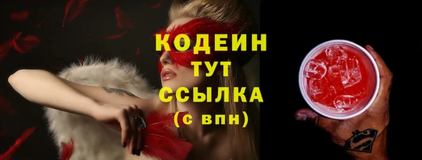 индика Нефтегорск