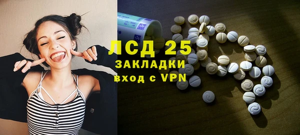 гидра Новозыбков