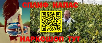 a pvp Аргун