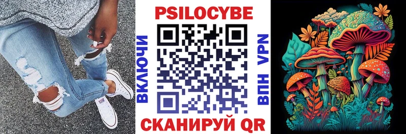 darknet официальный сайт  Тавда  Галлюциногенные грибы GOLDEN TEACHER  что такое  