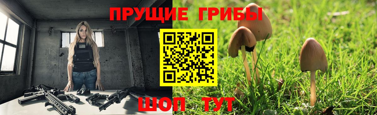 Галлюциногенные грибы GOLDEN TEACHER Тавда
